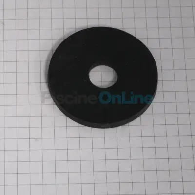 Bague de projection 45 x 12.2 x 4 mm pour pompes BADU / AQUA TIMER / AQUA MASTER (2920.850.700)