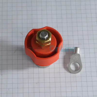 Electrode de mise à la terre (pool terre) L=30mm pour Electrolyseurs JUSTSALT (ELEC02POO001-PDC)