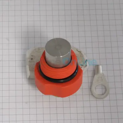 Electrode de mise à la terre (pool terre) L=30mm pour Electrolyseurs JUSTSALT (ELEC02POO001-PDC)