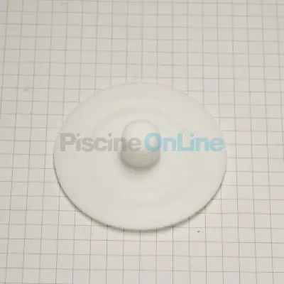 Membrane PTFE D54-M80 pour pompes doseuses MICRODOS (00.012.100)