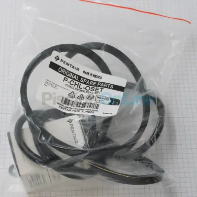 Kit joints pour pompes Pentair Challenger jusqu'à 1.5cv-1.1 kW (P-CHL-OSET)