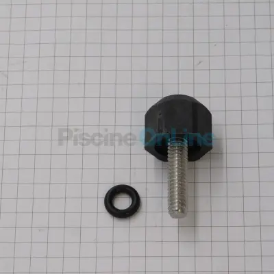 Vis + joint de Turbine pour pompes STA-RITE Dyna-Glass/Jet. SW5P4R. 5P4R (R373376080)