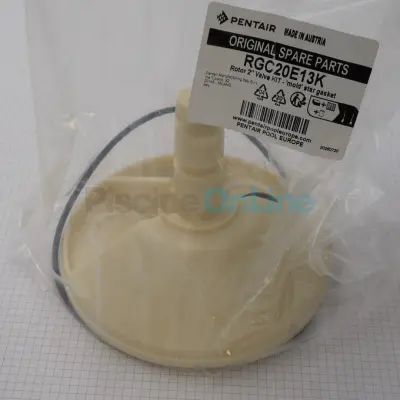 Boisseau avec joint étoile collé  D174 mm + joints + rondelles pour vanne 2" (nouveau modèle) (RGC20E13K)