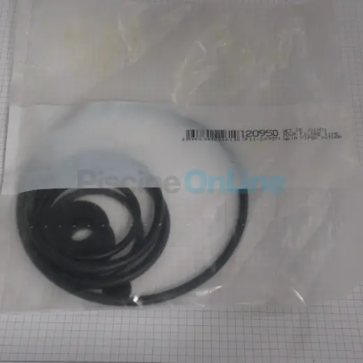 Kit de joints pour filtre side BWT Naja, Viper, Python (avant 2008) (120950)