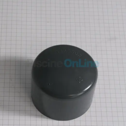 Bouchon à coller Ø50 PVC Pression (39840E)