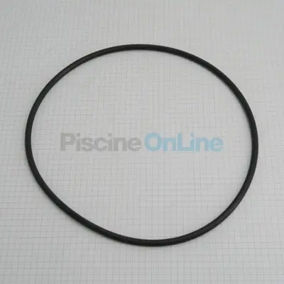 Joint torique pour corps de pompe 190 x 5.5 mm (2921.141.220)