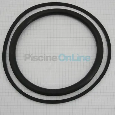 Joint d'ampoule + Joint de bride pour projecteur Ps - piscines Liner/Béton (4403010602)