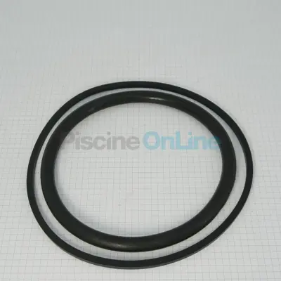 Joint d'ampoule + Joint de bride pour projecteur Ps - piscines Liner/Béton (4403010602)