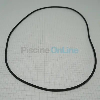 Joint torique 255x4mm pour Filtre à sable Vesubio, Aster, Atlas (4404020116)