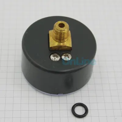 Manomètre 1/8'' 3kg/cm2 (+ joint) pour Filtres à sable (4404180405)