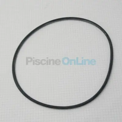 Joint de couvercle pour pompe Viron P300/P600 (4405010463)