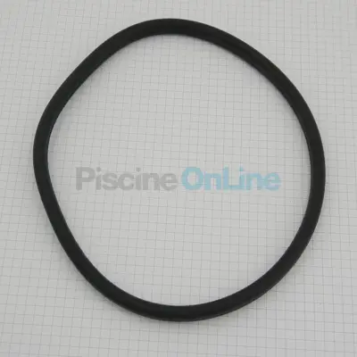 Joint de couvercle pour pompe Discovery, New Europa (4405010543)