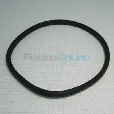 Joint de couvercle pour pompe Discovery, New Europa (4405010543)