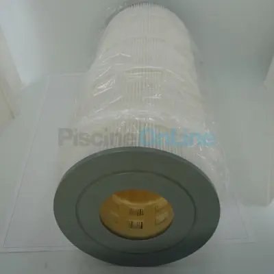 Cartouche de remplacement filtre CS100 (R0462201)