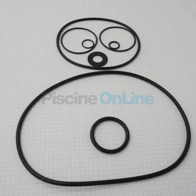 Ensemble de Joints pour pompes Astral Sena/Compact, B.MN.G - Kit Etanchéité (4405010403)