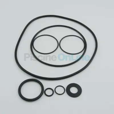 Ensemble de Joints pour pompes Astral Sena/Compact, B.MN.G - Kit Etanchéité (4405010403)