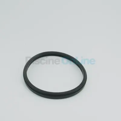 Joint Pré-Filtre pour pompe WINNER (92400015)