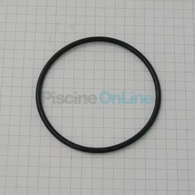 Joint de Coude Supérieur pour FILTRE DE (Micro Clear. Pro Grid) et Filtres à Cartouche SWIMCLEAR (DEX2400Z5)