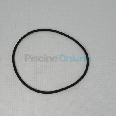 Joint torique 170,8 x 5,66 pour couvercle de Filtres (4404080101)