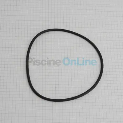 Joint de couvercle Ø118 x 4mm pour pompes NEW MINI PUMP, SENA, ALASKA, ASTRAL COMPACT, ASIATIC MIN, B.M.I, B.MN.G, CVS, AMERICA, LYON et Monobloc MILLENIUM (4405010437)