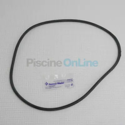 Joint de cuve pour filtres Posi-Clear PXC et POSI FLO II (25230-0010S)