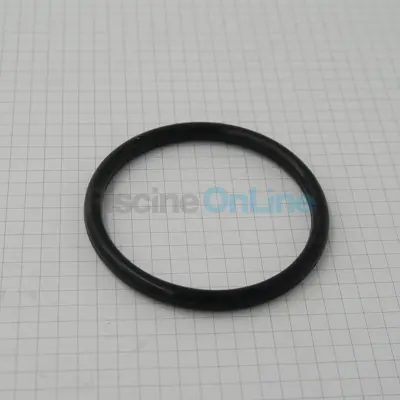 Joint de raccord de vanne/filtre 2" (E02020016)