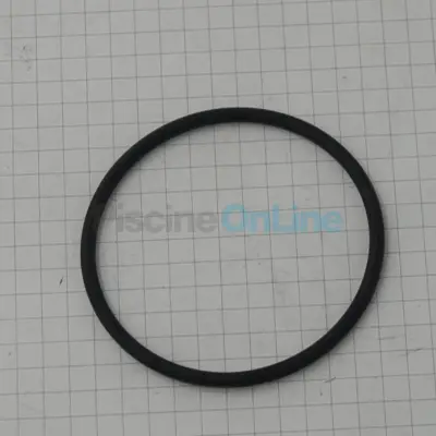 Joint de raccord diamètre 53 mm pour pompes America Lyon (4405010031)