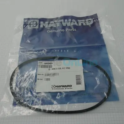 Joint torique commun couvercle de filtres à sable et corps de pompe - Ø int 166.8 Épaisseur 5.4 mm (GMX0600F)