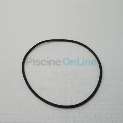 Joint torique commun couvercle de filtres à sable et corps de pompe - Ø int 166.8 Épaisseur 5.4 mm (GMX0600F)