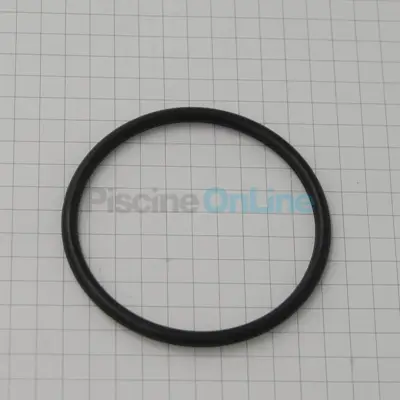Joint torique d48.8x3.1 pour pompes MGD, MJB. JX, MPB. Girotec, MPQ (A-OR-48.8-3.1)