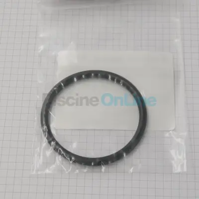 Joint torique diamètre 68 mm de liaison vanne/filtre Triton, Nautilus (R274494)