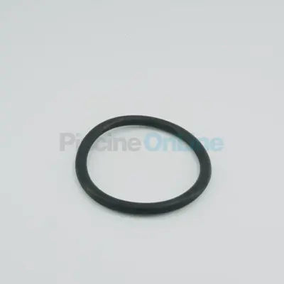 Joint torique pour Ampoule de projecteurs ASTRAL (4403010304)