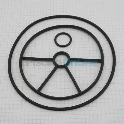 Joints de vanne Astral Flat 1"1/2 ECO (4404122104)