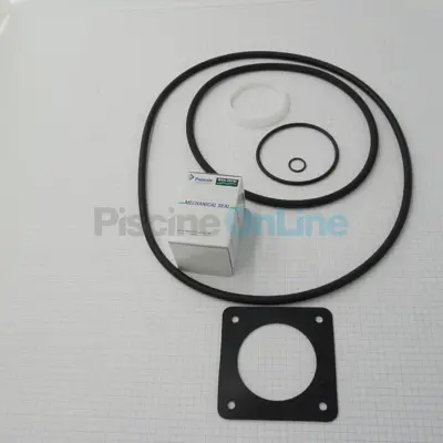 Kit joints pour pompes ULTRAFLOW (Plus), INTELLIFLO ULTRAFLOW VSD, ULTRA-GLAS, S5P3R (P-UFL-OSET)