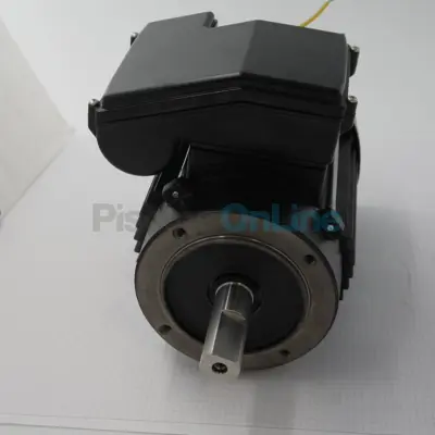 Moteur 2CV 220V pour nage à contre courant ASTRAL (11505R0475)