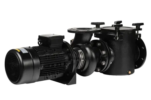 Pompe ARAL PLUS C3000 3CV 230/400V (76917)