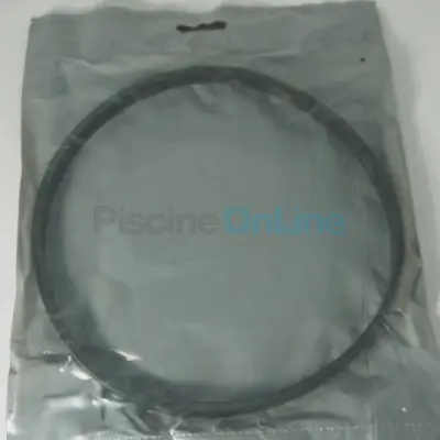 Joint de corps Plat 193x5x11.5 pour pompe SNTE/CERTIKIN SWIMFLO (CE05012029)