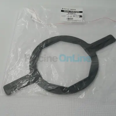 Clé de couvercle 6'' pour Filtre à sable Tagelus, Triton (R154512)