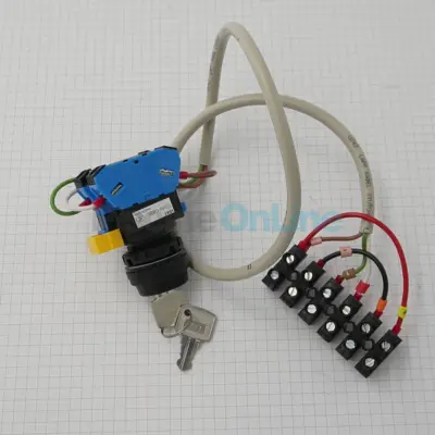 Interrupteur à clé + câblage pour enrouleurs hors sol - REMPLACE 070336 et 069975 (907720)