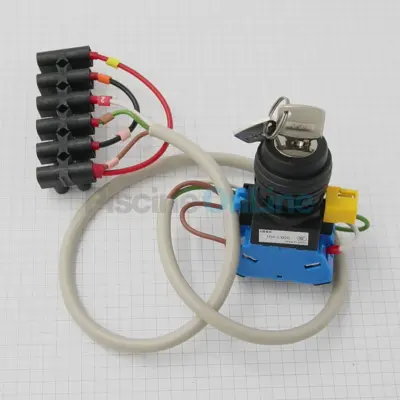 Interrupteur à clé + câblage pour enrouleurs hors sol - REMPLACE 070336 et 069975 (907720)