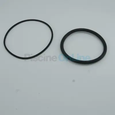 Joint d'ampoule + Joint de bride pour projecteur Ps - piscines Liner/Béton (4403010602)