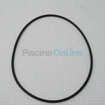Joint de corps pompe Mini (par 5 voir 4055510R) (4055510R-P1)