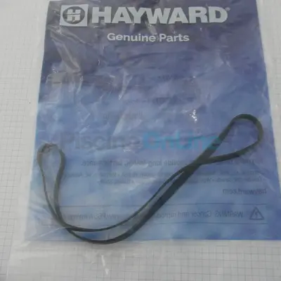 Joint de Corps (original) pour pompe Super Pump (SPX1600T)