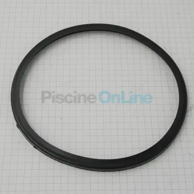 Joint de couvercle pour pompe Mini (à l'unité) (4050810R-P1)