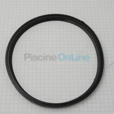 Joint de couvercle pour pompe Mini (à l'unité) (4050810R-P1)