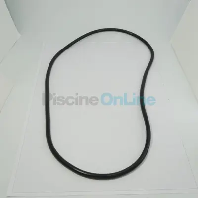 Joint de Cuve pour FILTRE DE Clean & Clear+. Nautilus. FNS+. Quad. Titan TM (R39010200)