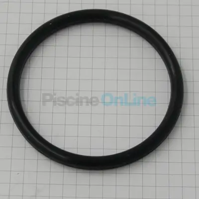 Joint de raccord de vanne/filtre 2" (E02020016)