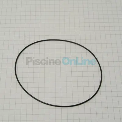 Joint torique. 73 x 1.2 mm buse BADUJET (2300.202.053)