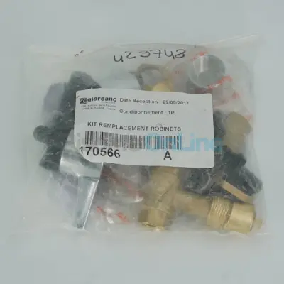 Kit remplacement robinets eau chaude et froide pour douche Giordano (à monter) (170566)