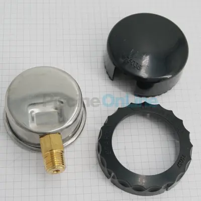 Manomètre pour Filtre à cartouche Viron QL (4404130036)